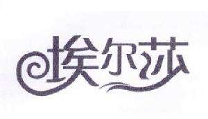 埃尔莎洗衣