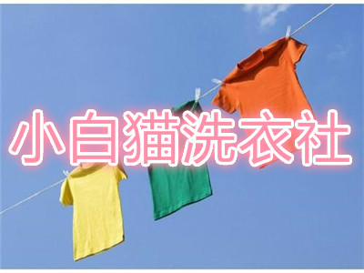 小白猫洗衣社