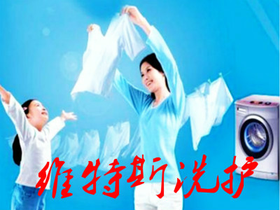 维特斯洗护