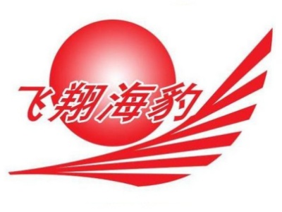 飞翔海豹