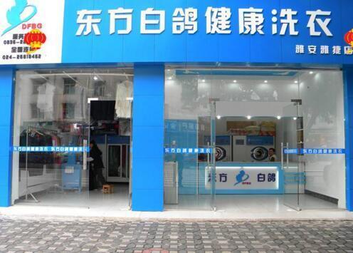 东方白鸽洗衣