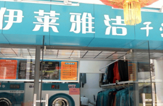 ä¼ŠèŽ±é…æ´æ´—è¡£