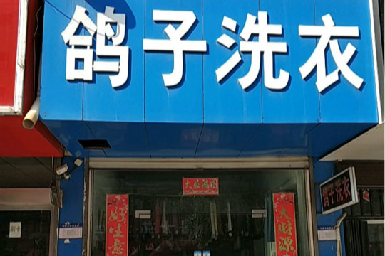 鸽子洗衣加盟怎么样靠谱吗-加盟鸽子亲身经历8年开店总结