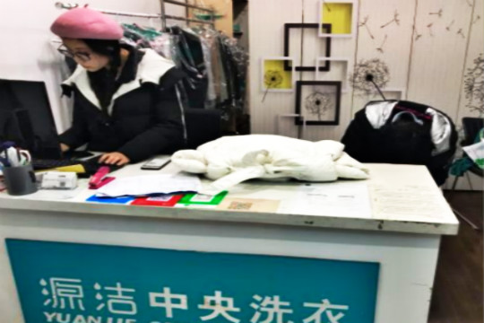 零经验如何开源洁中央洗衣店？新手开店须知