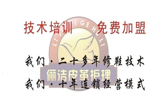 俪洁皮革护理
