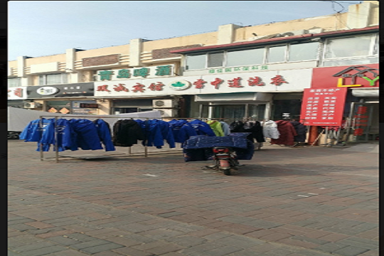 雪中莲洗衣