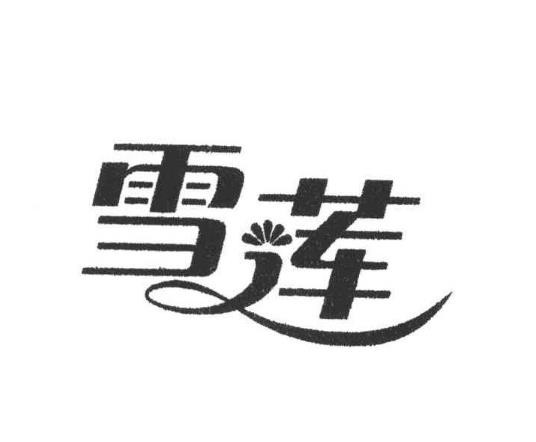 雪莲洗衣