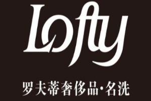 罗夫蒂皮革护理