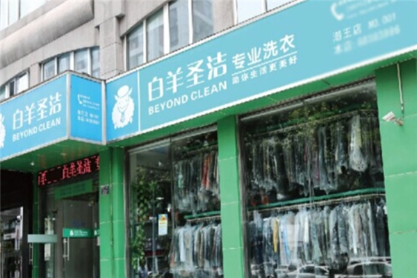 白羊圣洁专业洗衣