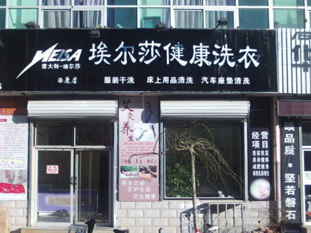 埃尔莎洗衣