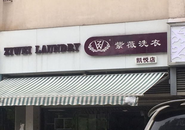 紫薇洗衣