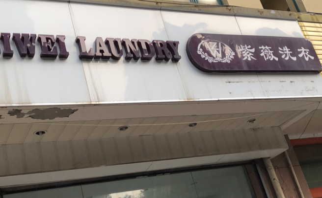 紫薇洗衣