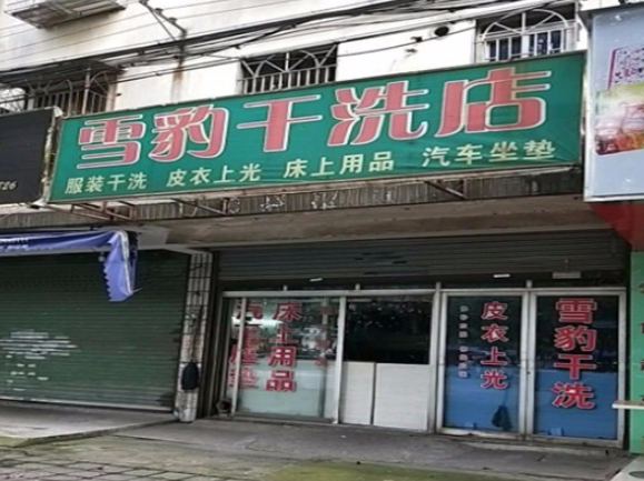 雪豹洗衣
