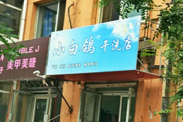 小白鸽干洗