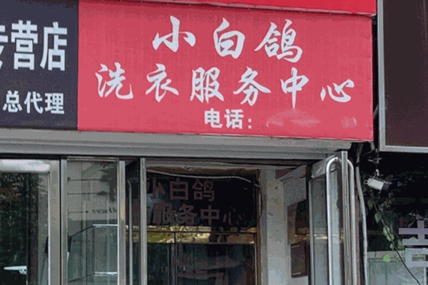 小白鸽干洗