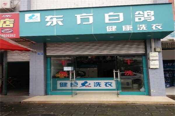 东方白鸽洗衣