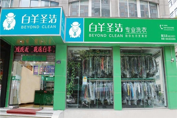 白羊圣洁洗衣