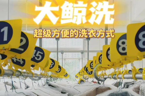 大鲸洗