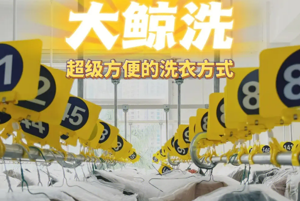 大鲸洗