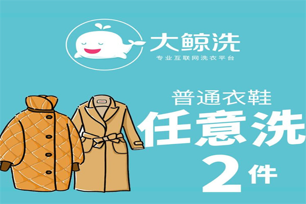 大鲸洗