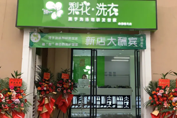 梨花洗衣店设备购买策略：如何节省成本?