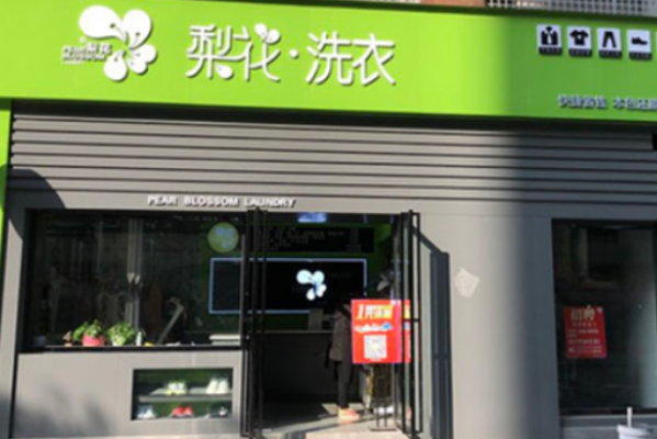 投资梨花洗衣店的年度盈利潜力：真实数据揭秘