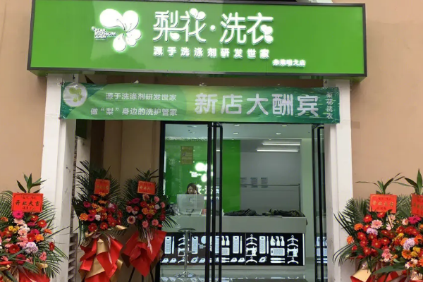 梨花洗衣