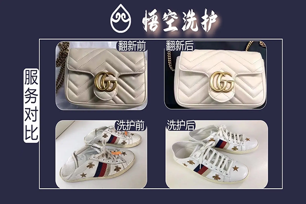 悟空洗护