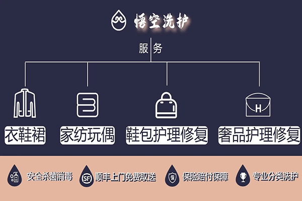 悟空洗护