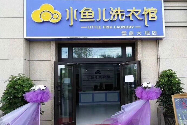 小鱼儿洗衣馆
