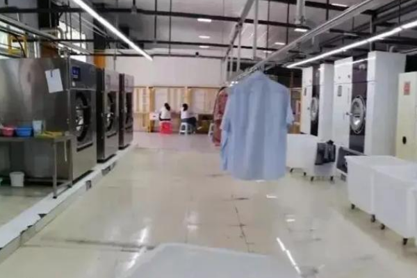 修美客洗护