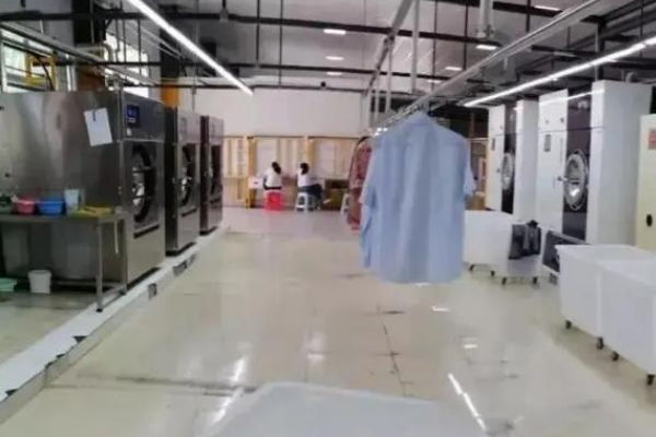 云闪兔智能洗护馆