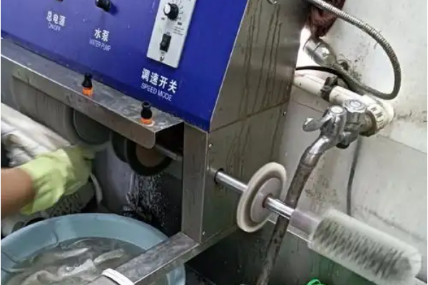 班小兔洗鞋