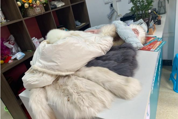 美玲洗衣