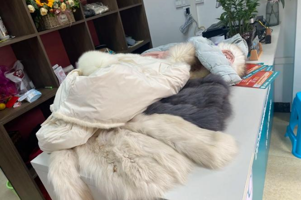 依尔萨洗衣加盟赚钱吗？多元经营模式财源广进，赚钱门道多！