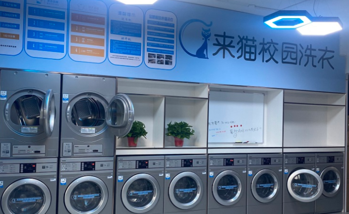 来猫洗衣