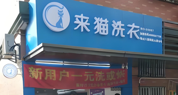来猫洗衣