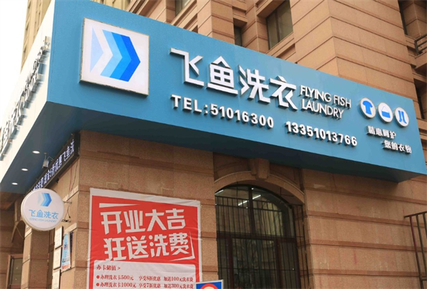 飞鱼洗衣