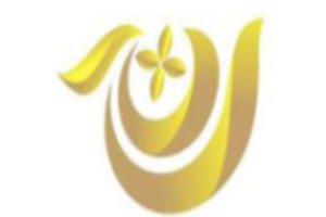 迪娜斯皮具护理