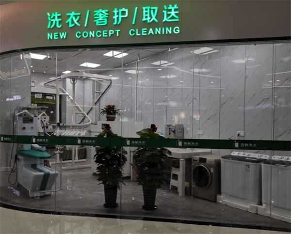 青椒洗衣 青椒洗衣